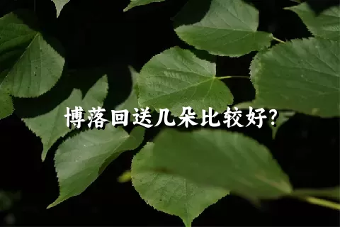 博落回送几朵比较好？