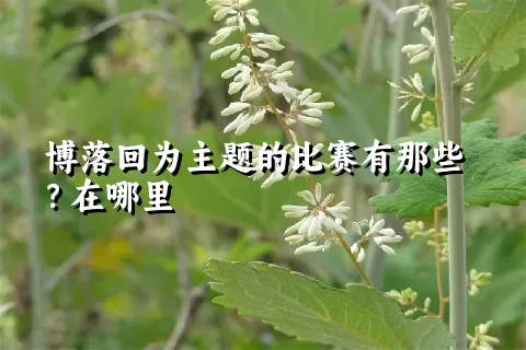 博落回为主题的比赛有那些？在哪里