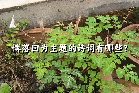 博落回为主题的诗词有哪些？