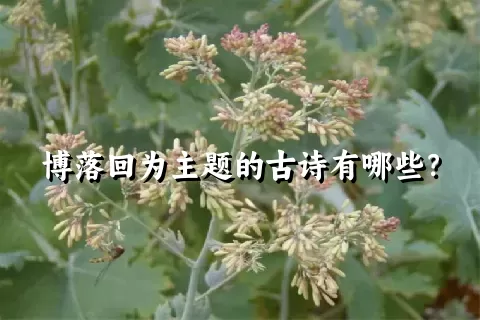 博落回为主题的古诗有哪些？