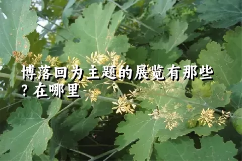博落回为主题的展览有那些？在哪里