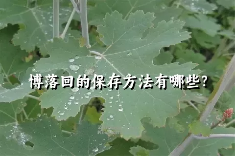 博落回的保存方法有哪些？