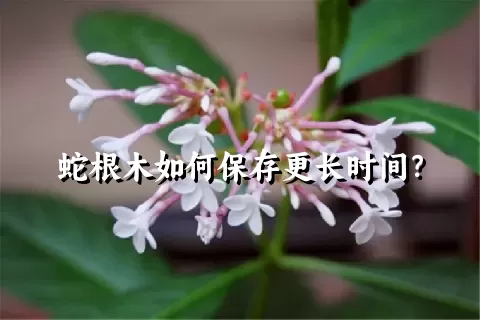 蛇根木如何保存更长时间？