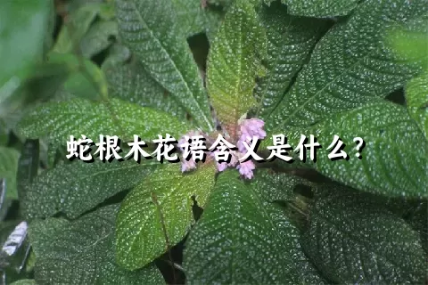 蛇根木花语含义是什么？