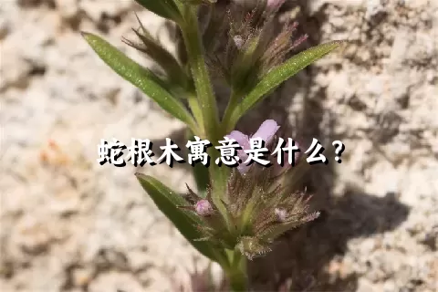 蛇根木寓意是什么？