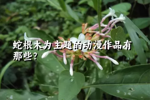 蛇根木为主题的动漫作品有那些？