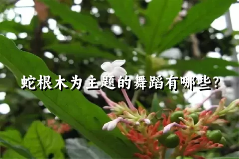 蛇根木为主题的舞蹈有哪些？