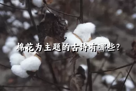 棉花为主题的古诗有哪些？