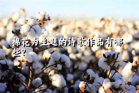 棉花为主题的诗歌作品有哪些？