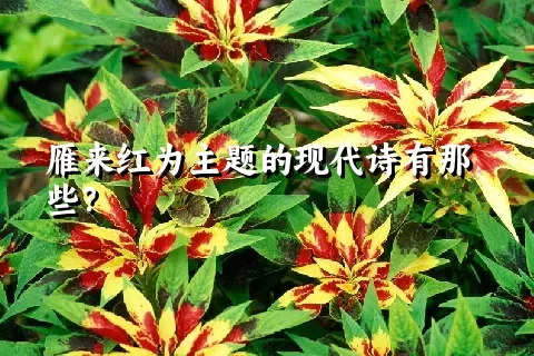 雁来红为主题的现代诗有那些？