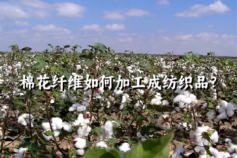 棉花纤维如何加工成纺织品？