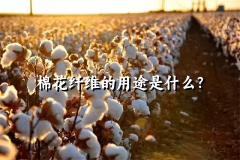 棉花纤维的用途是什么？