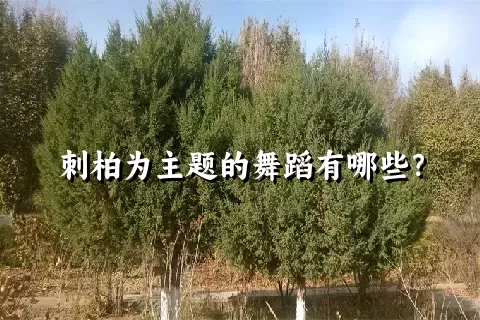 刺柏为主题的舞蹈有哪些？
