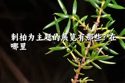 刺柏为主题的展览有那些？在哪里
