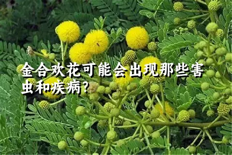 金合欢花可能会出现那些害虫和疾病？