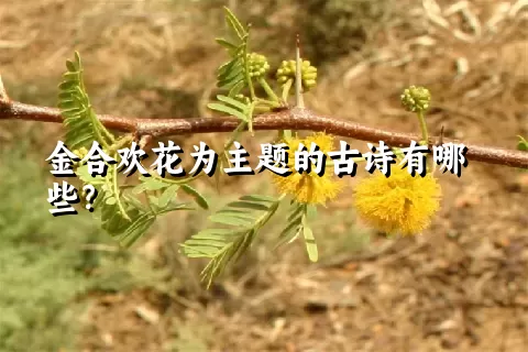 金合欢花为主题的古诗有哪些？