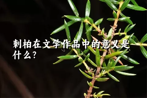 刺柏在文学作品中的意义是什么？