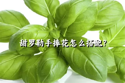 甜罗勒手捧花怎么搭配？