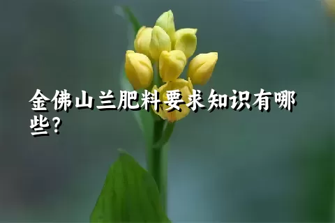 金佛山兰肥料要求知识有哪些？