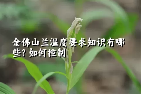 金佛山兰温度要求知识有哪些？如何控制