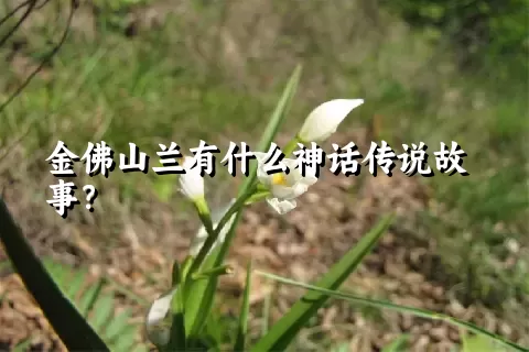 金佛山兰有什么神话传说故事？