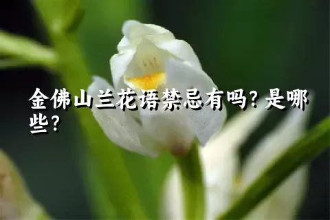 金佛山兰花语禁忌有吗？是哪些？