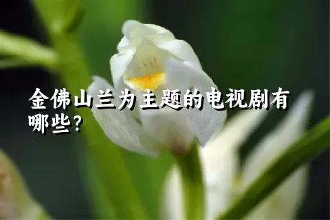 金佛山兰为主题的电视剧有哪些？