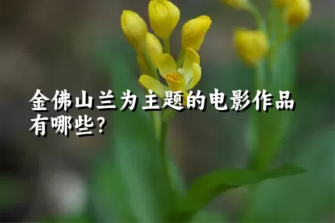 金佛山兰为主题的电影作品有哪些？