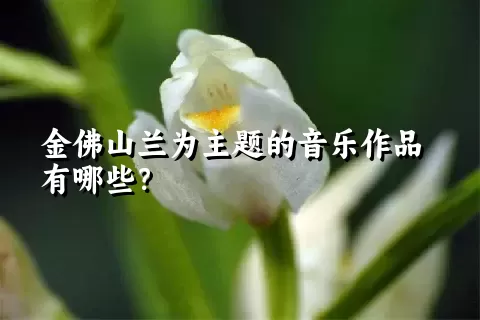 金佛山兰为主题的音乐作品有哪些？