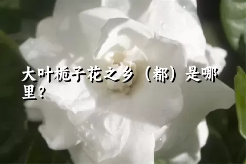 大叶栀子花之乡（都）是哪里？