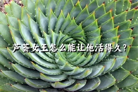 芦荟女王怎么能让他活得久？