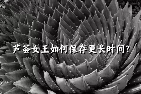 芦荟女王如何保存更长时间？