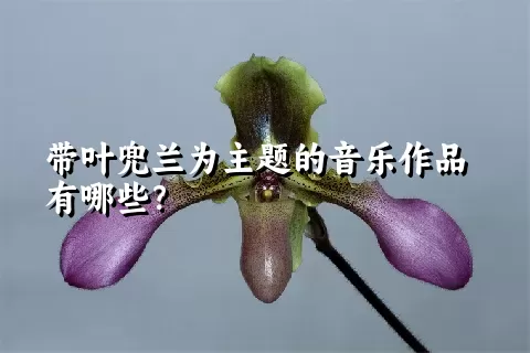 带叶兜兰为主题的音乐作品有哪些？