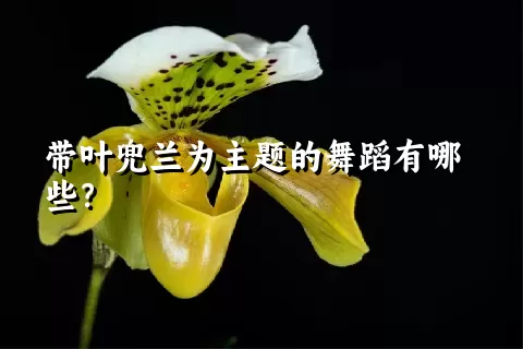 带叶兜兰为主题的舞蹈有哪些？