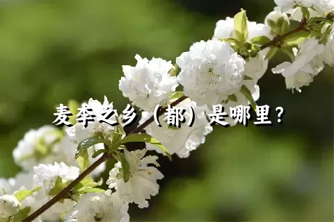 麦李之乡（都）是哪里？