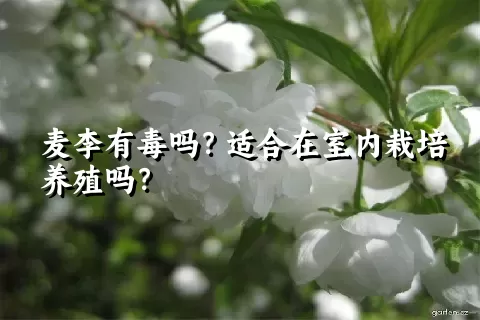 麦李有毒吗？适合在室内栽培养殖吗？