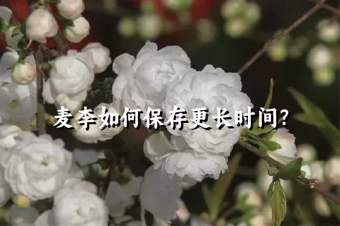 麦李如何保存更长时间？