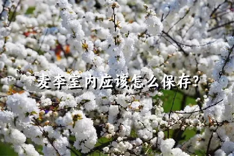 麦李室内应该怎么保存？