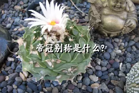 帝冠别称是什么？