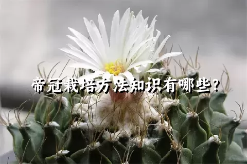 帝冠栽培方法知识有哪些？