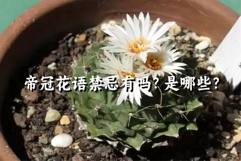 帝冠花语禁忌有吗？是哪些？