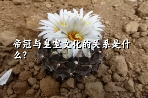 帝冠与皇室文化的关系是什么？