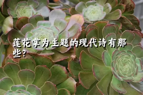 莲花掌为主题的现代诗有那些？