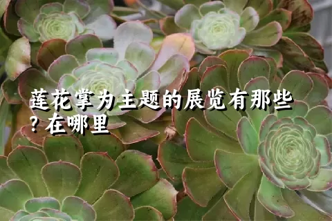 莲花掌为主题的展览有那些？在哪里