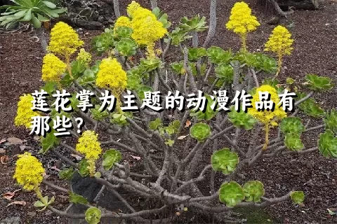 莲花掌为主题的动漫作品有那些？