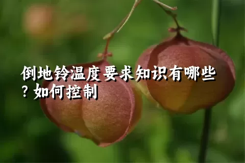 倒地铃温度要求知识有哪些？如何控制