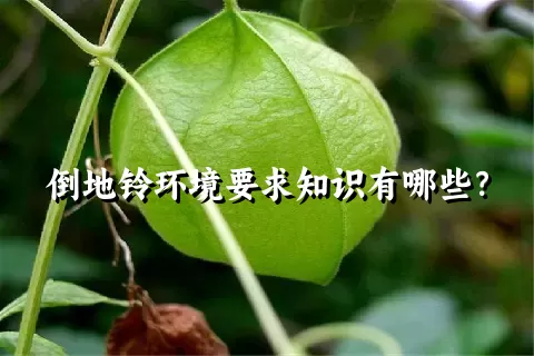 倒地铃环境要求知识有哪些？