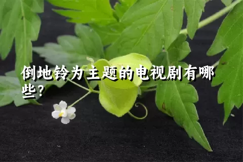 倒地铃为主题的电视剧有哪些？