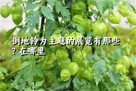 倒地铃为主题的展览有那些？在哪里