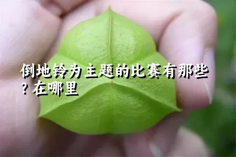 倒地铃为主题的比赛有那些？在哪里